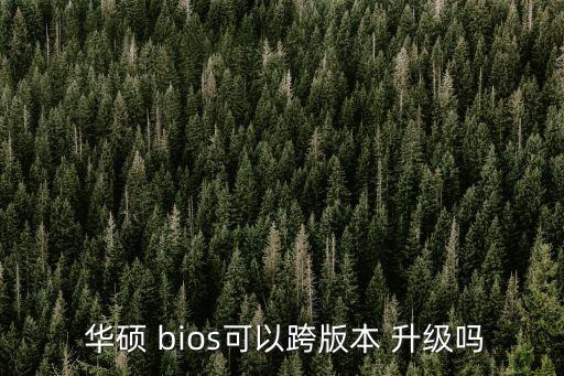 華碩主板bios升級,怎么升級to,inushbios?