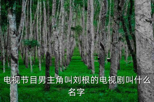 劉根，電視節目男主角叫劉根的電視劇叫什么名字
