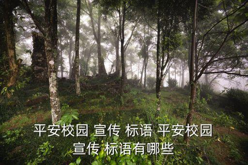 平安宣傳標語,第二集:平安城市和諧演繹