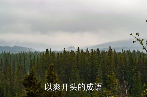 以爽開頭的成語