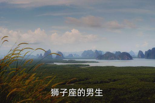 獅子座男人，獅子座的男性