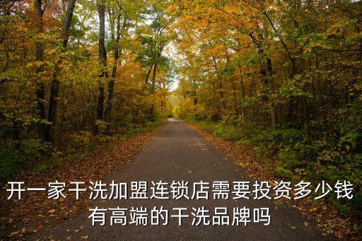 開一家干洗加盟連鎖店需要投資多少錢有高端的干洗品牌嗎