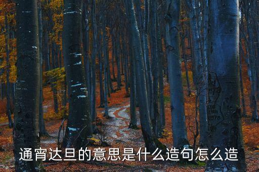 通宵達旦造句，用通宵達旦造句