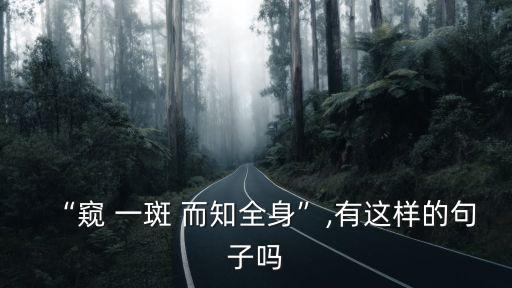 “窺 一斑 而知全身”,有這樣的句子嗎