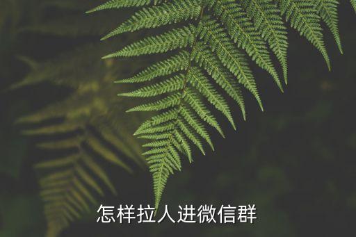 怎樣拉人進(jìn)微信群
