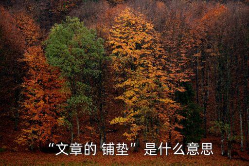 “文章的 鋪墊”是什么意思