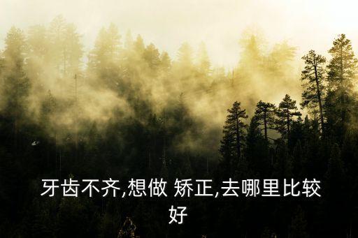 想做牙齒矯正,無(wú)括號(hào)矯正牙齒隱形通過(guò)計(jì)算機(jī)模擬對(duì)齊過(guò)程