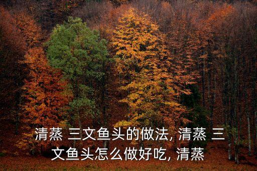  清蒸 三文魚(yú)頭的做法, 清蒸 三文魚(yú)頭怎么做好吃, 清蒸