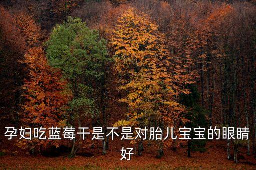 孕婦吃藍(lán)莓干是不是對(duì)胎兒寶寶的眼睛好