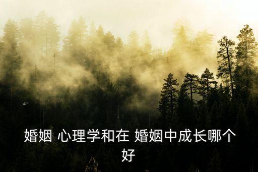 婚姻心理學,幸福婚姻心理學是揭示真相婚戀關系的圣典