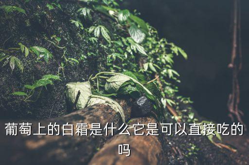 齊墩果酸,急性肝炎服用3-4片每日三次