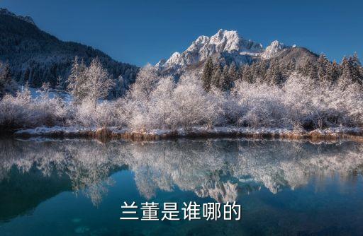 蘭董是誰哪的