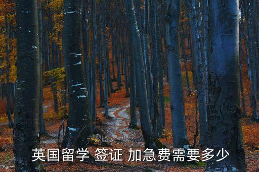 英國(guó)簽證加急費(fèi)用