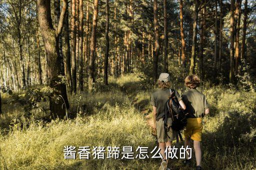 醬香豬腳，醬香豬腳的做法醬香豬腳怎么做好吃醬香豬腳