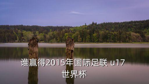 誰贏得2015年國際足聯(lián) u17 世界杯