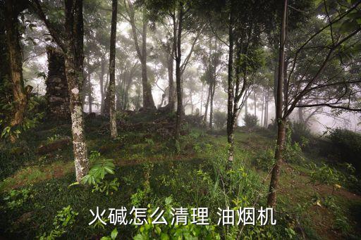 火堿清洗油煙機,如何用火堿清洗油煙機器?
