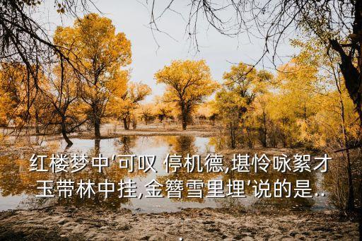 停機德,停機de寓意美德寶釵評價寶釵