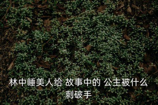 沉睡公主的故事,公主故事從哪些名字開始?