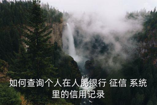 個人征信系統,中國人民征信中心官網再次打開