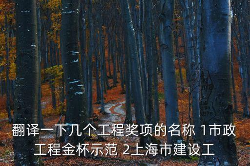 翻譯一下幾個工程獎項的名稱 1市政工程金杯示范 2上海市建設工