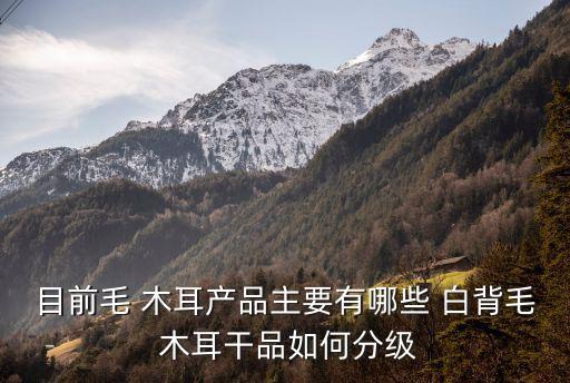 白背木耳,出口白背烏毛銀耳分級標準:一等品或二等品