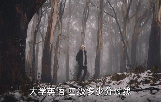 大學英語 四級多少分過線
