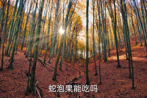 蛇莓能吃嗎,蛇莓不宜生吃或產生中毒