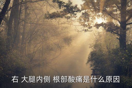 大腿根部疼痛是什么原因,馬步樁可增強腿部力量為何腿痛?