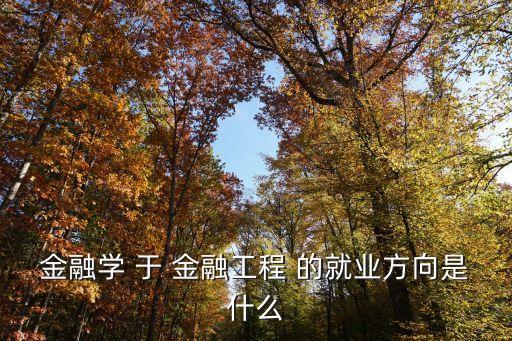 金融工程就業方向，金融學 于 金融工程 的就業方向是什么