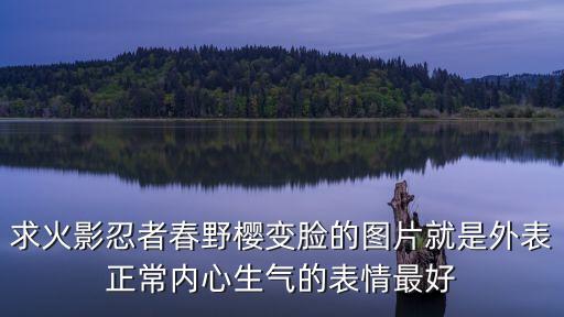 求火影忍者春野櫻變臉的圖片就是外表正常內(nèi)心生氣的表情最好