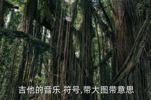 吉他譜的各種符號圖解,第一集:基本音符已經記住了嗎?