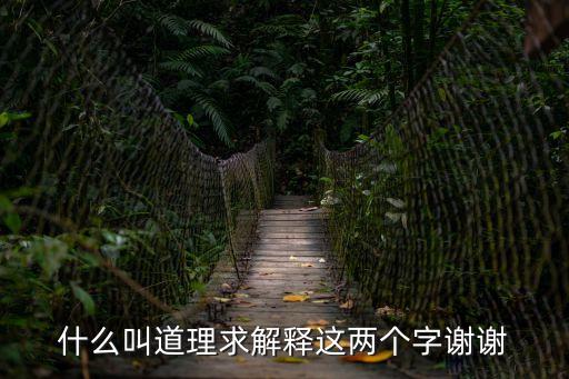 道理是什么意思，什么叫道理求解釋這兩個字謝謝