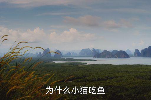 小貓吃魚，小貓為什么總愛吃魚