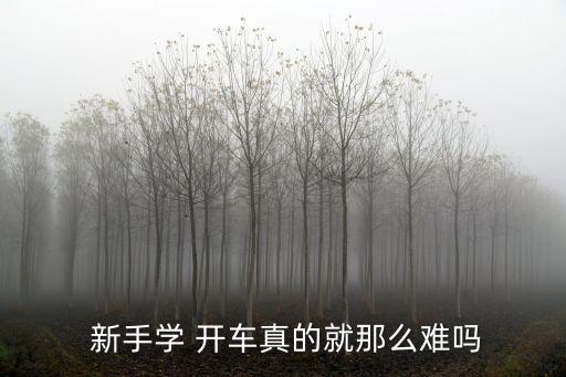 新手學開車,學開車須知道的5件事