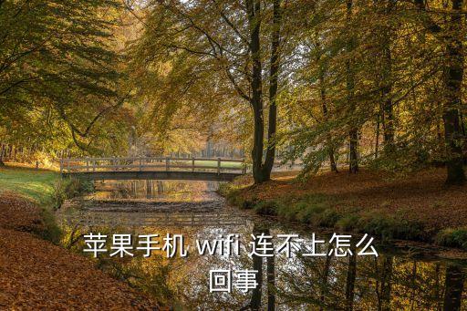 蘋果連不上wifi怎么回事,手機連不上wifi怎么辦?