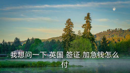 我想問一下 英國 簽證 加急錢怎么付