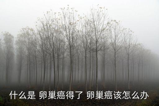 什么是 卵巢癌得了 卵巢癌該怎么辦