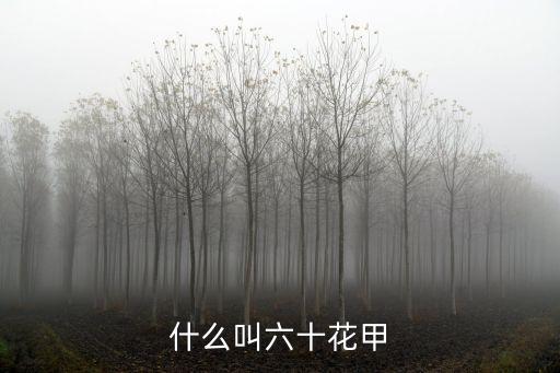 什么叫六十花甲