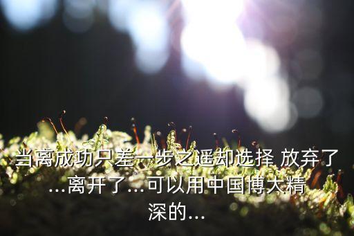 形容放棄的成語,提前敗而后成歸東隅之敗