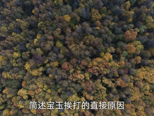 寶玉挨打的原因，紅樓夢中寶玉挨打有哪些直接原因