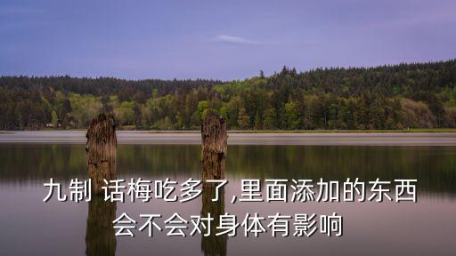 九制話梅,用容器裝好的話梅放入酒精密封儲存三個月
