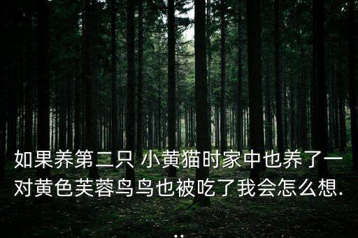 如果養第二只 小黃貓時家中也養了一對黃色芙蓉鳥鳥也被吃了我會怎么想...