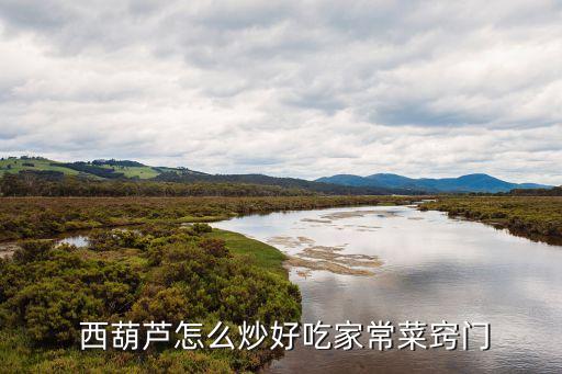 西葫蘆的做法,涼拌西葫蘆:自制涼拌菜品精選嫩瓜嫩蝦