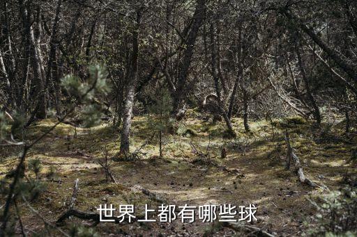 世界上都有哪些球
