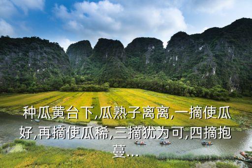種瓜,怎么種才能吃到黃臺調(diào)?