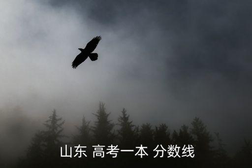 山東高考分數,山東高考一本分數線以2022年為例