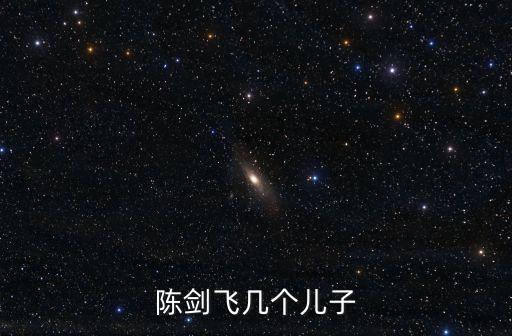 陳劍飛幾個兒子
