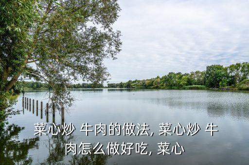 菜心炒牛肉,青椒炒至近熟倒入牛肉片即可出鍋