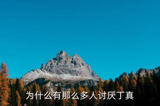 丁紫桐,實名丁紫桐武漢女中學生成績優異考入重點高中