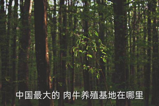 中國最大的 肉牛養殖基地在哪里